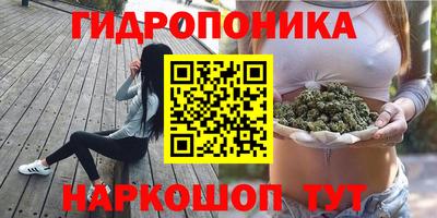 молекула духа Бузулук
