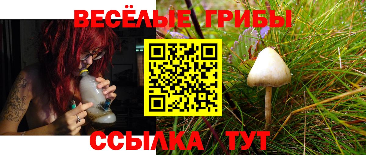 Псилоцибиновые грибы GOLDEN TEACHER  Вход с VPN  Нефтеюганск 